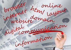 开云体育网站-中国篮球联赛俱乐部品牌建设策略，篮球俱乐部宗旨  第2张