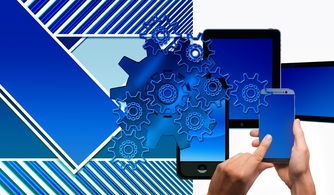 开云体育登录-中国篮球联赛品牌建设策略与粉丝经济发展路径,中国国内的篮球联赛简称 第2张 开云体育登录-中国篮球联赛品牌建设策略与粉丝经济发展路径,中国国内的篮球联赛简称 第2张